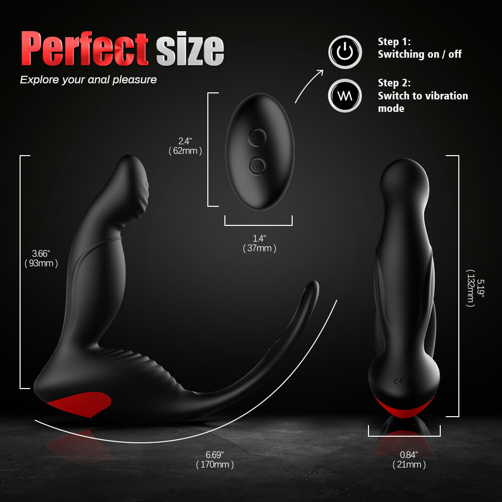 3 In 1 Prostate Massager with Penis Ring